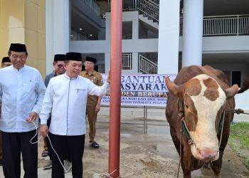 Gubernur Al Haris Serahkan Sapi Kurban Presiden Prabowo Seberat 930 Kg di Islamic Center