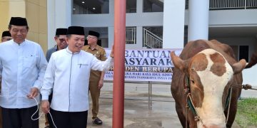 Gubernur Al Haris Serahkan Sapi Kurban Presiden Prabowo Seberat 930 Kg di Islamic Center